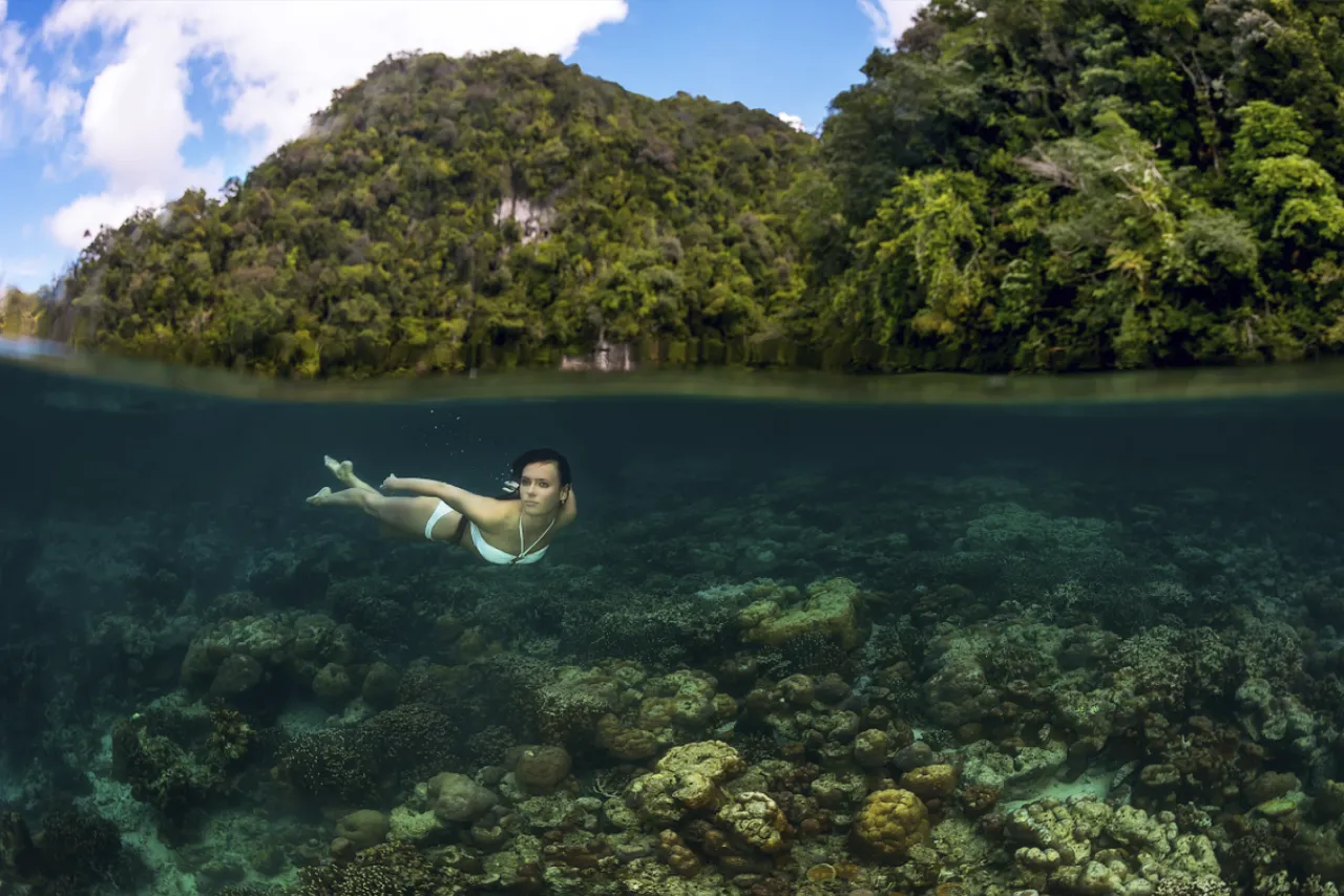 a split photo, half underwater and half on top showing the lush greens of the Rock Islands of Palau in the upper half and a female free diver in a white bikini over corals on the lower half of the image