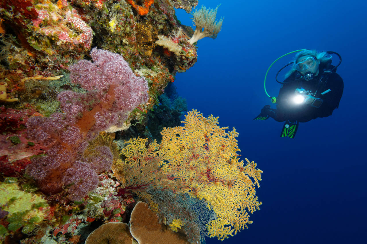 Siaes Corner dive site Palau