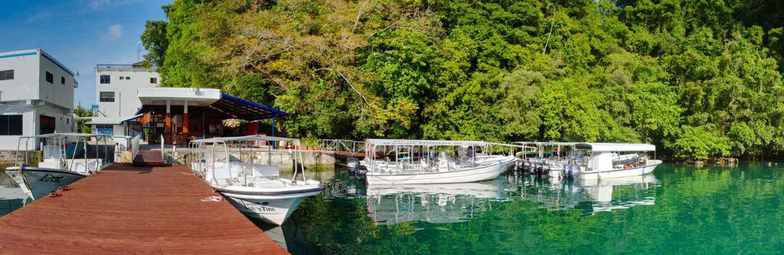 Fish 'n Fins docks in Malakal Palau