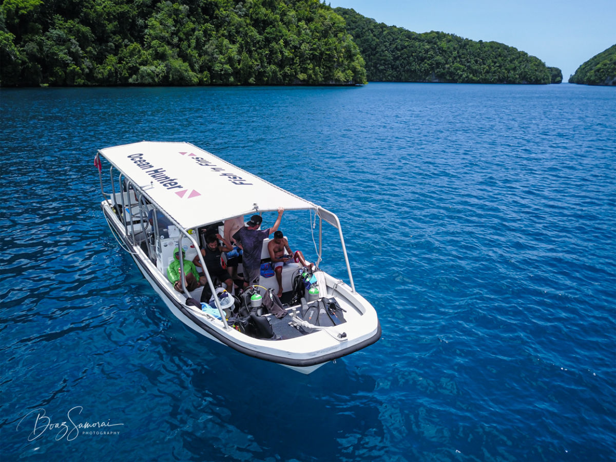 Fish 'n Fins Boat in Palau